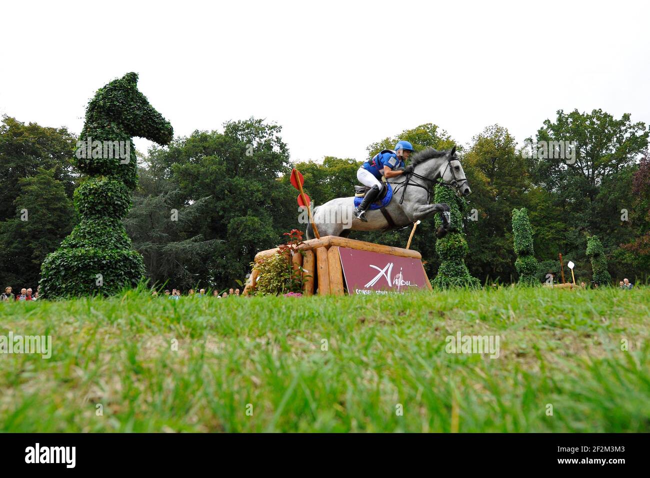 Frankreich, Le Lion d'Angers : STEVE VAN WINKEL BEIM REITEN AUF AIRKAN SYLVESTER während der Cross Country des 'Mondial du Lion', am 19th. oktober 2013 - Eventing : die Weltmeisterschaft für Pferde , 6 und 7 Jahre alt - Foto Christophe Bricot / DPPI Stockfoto