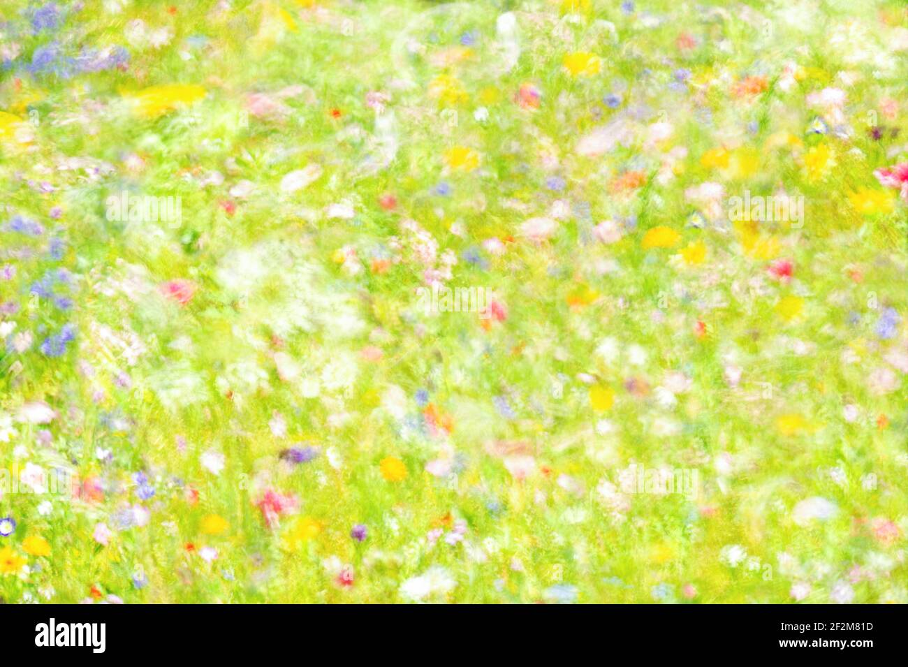 Ein wunderschönes impressionistisches Bild einer Sommerwiese aus pastellfarbenen Blumen mit integrierter Kameratechnik. Stockfoto