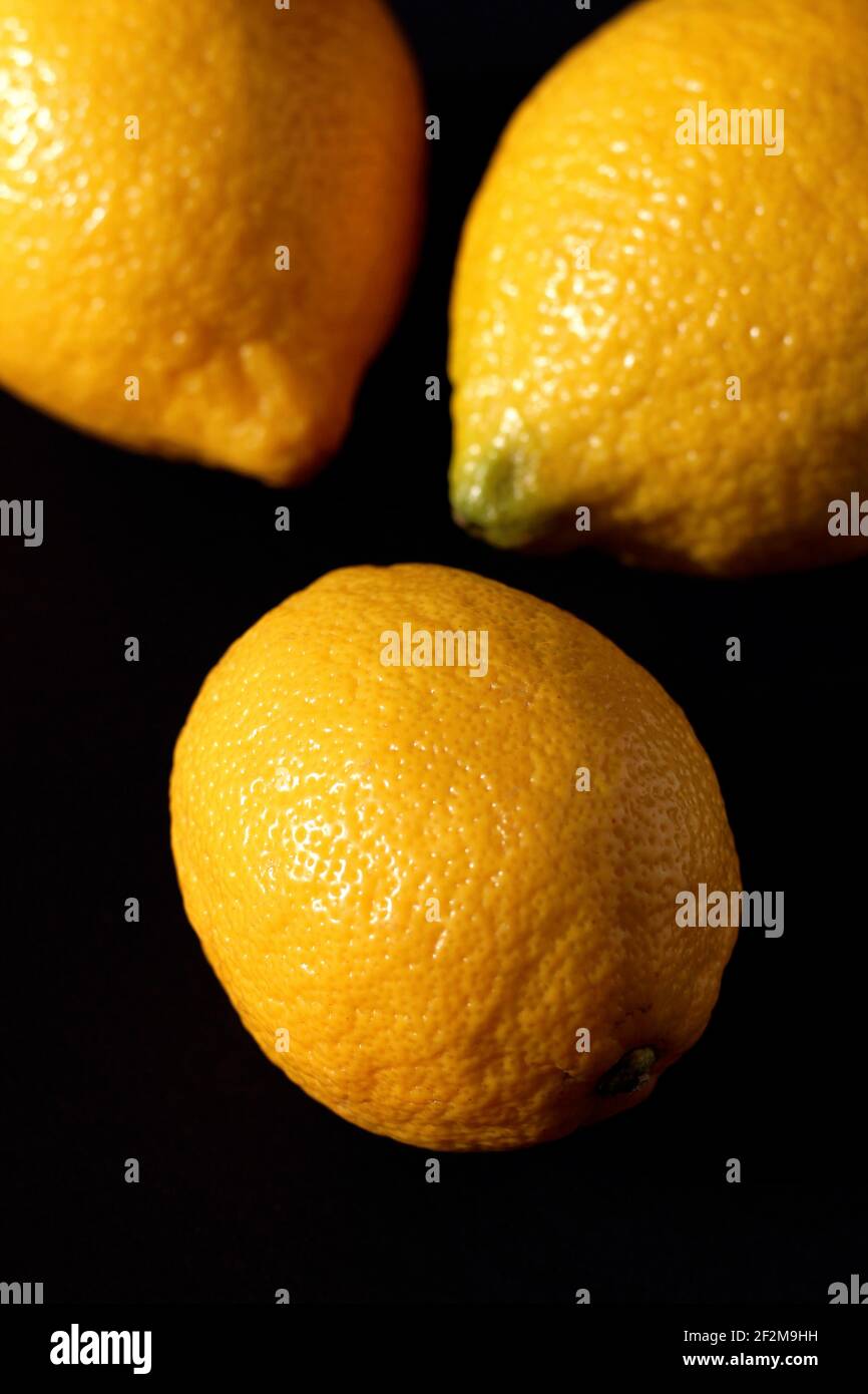 Zitronen Nahaufnahme. Frisches, Buntes Fruchtkonzept. Stockfoto