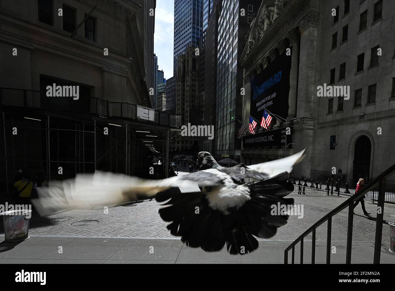 New York, USA. März 2021, 12th. Eine Taube fliegt von den Stufen der Federal Hall mit Blick auf die Fassade der New Yorker Börse in New York, NY, 12. März 2021. Präsident Biden hat gestern ein $1,9 Billionen COVID-19-Hilfspreispaket in Kraft gesetzt, nachdem es den Kongress genehmigt hatte. (Foto von Anthony Behar/Sipa USA) Quelle: SIPA USA/Alamy Live News Stockfoto