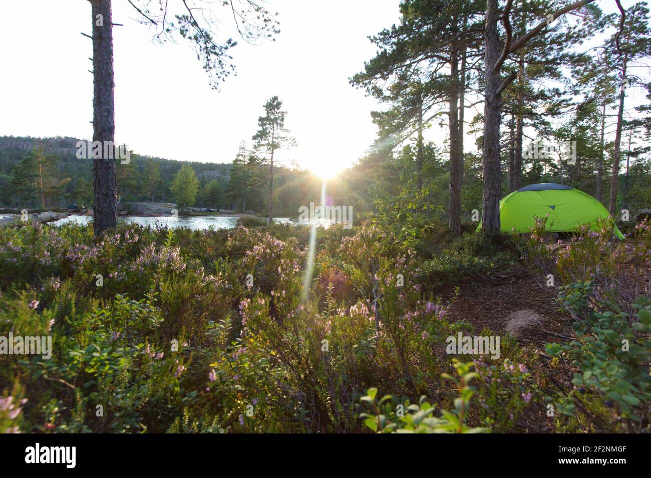 Wandertour in Schweden entlang des Höga Kustenleden Wanderweges Stockfoto