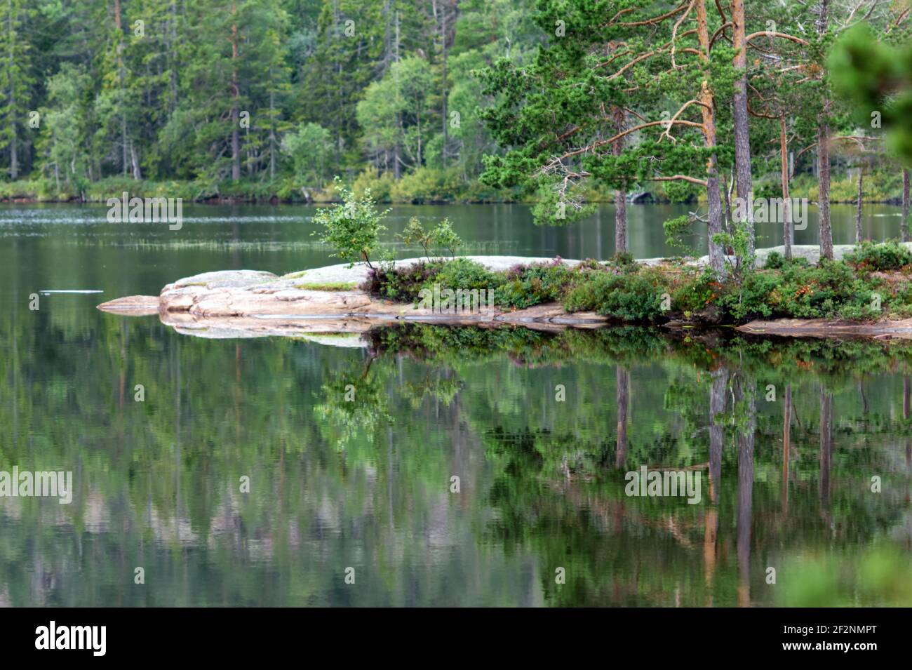 Wandertour in Schweden entlang des Höga Kustenleden Wanderweges Stockfoto