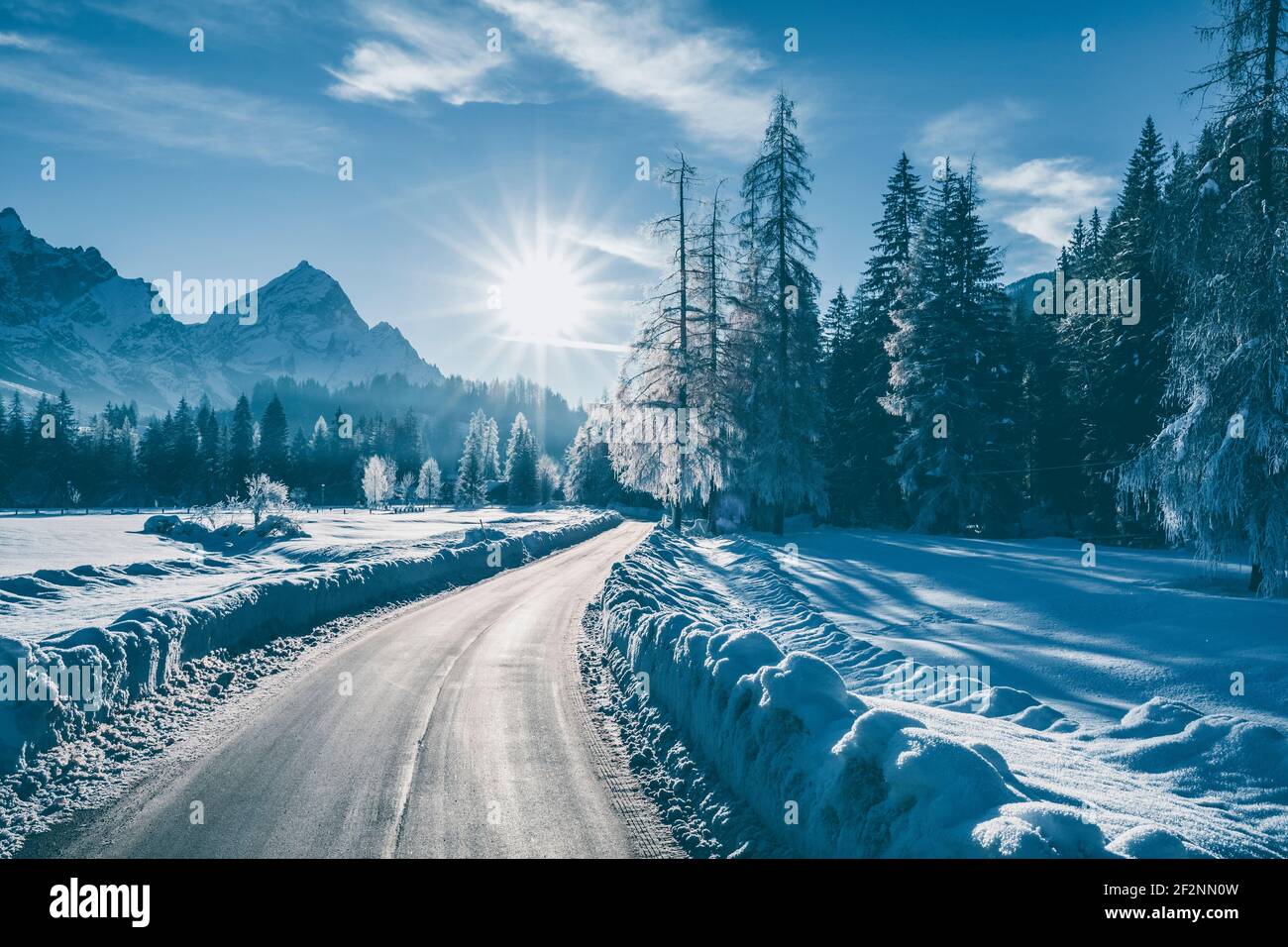 Straße durch eine eisige Winterlandschaft, Bäume mit gefrorenen Ästen, dolomiten und Morgensonne im Hintergrund, Cortina d'Ampezzo, Belluno, Venetien, Italien Stockfoto