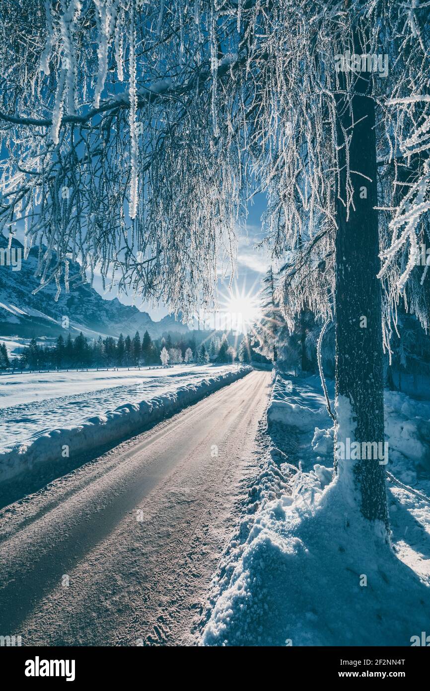 Straße durch eine eisige Winterlandschaft, Bäume mit gefrorenen Ästen, dolomiten und Morgensonne im Hintergrund, Cortina d'Ampezzo, Belluno, Venetien, Italien Stockfoto