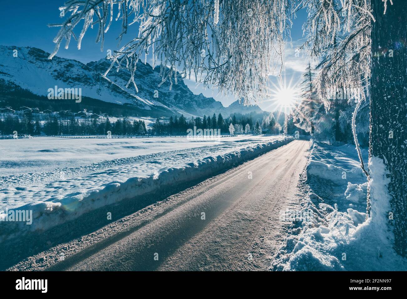 Straße durch eine eisige Winterlandschaft, Bäume mit gefrorenen Ästen, dolomiten und Morgensonne im Hintergrund, Cortina d'Ampezzo, Belluno, Venetien, Italien Stockfoto