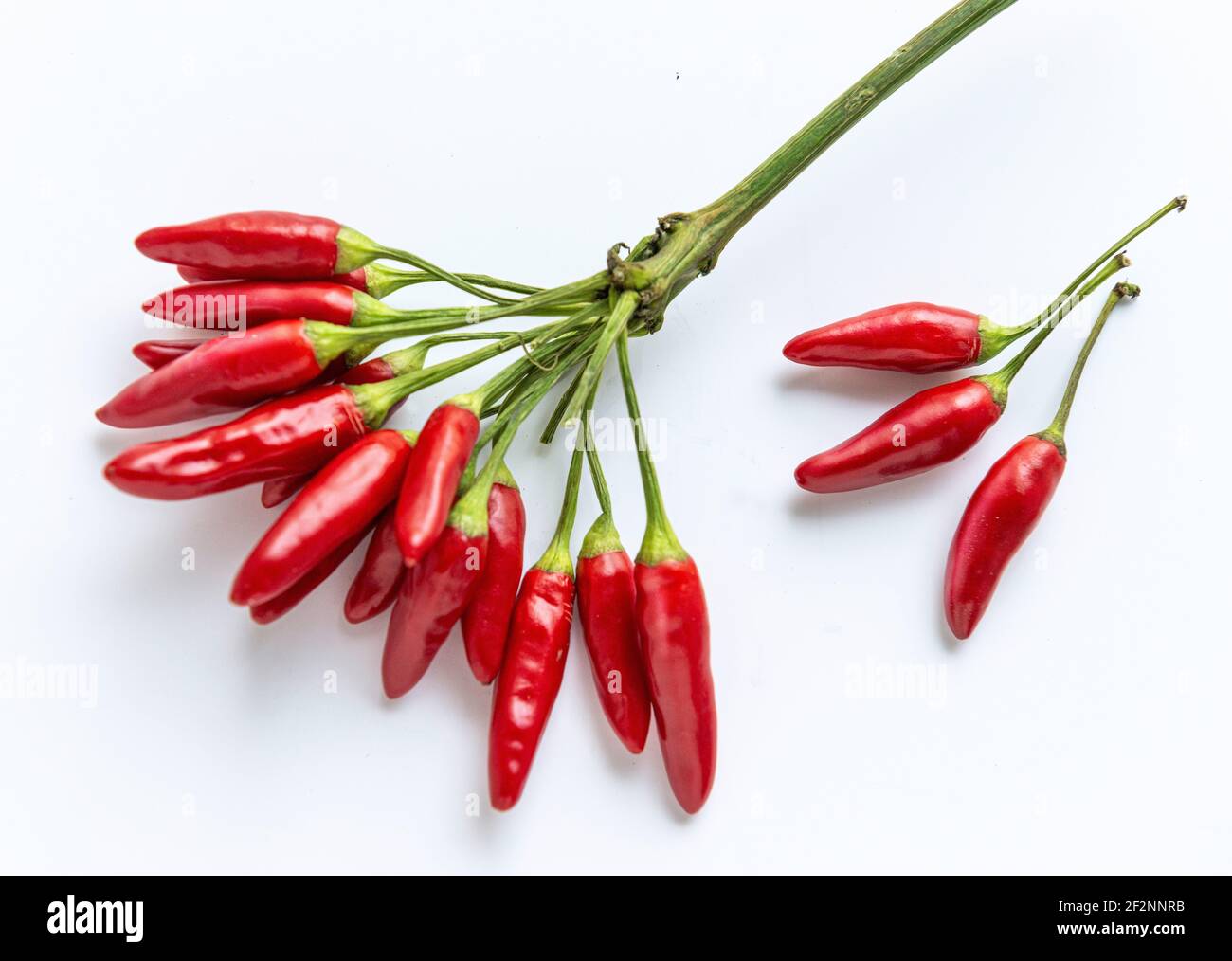 Chilis, Paprika, heiße Gewürze Stockfoto