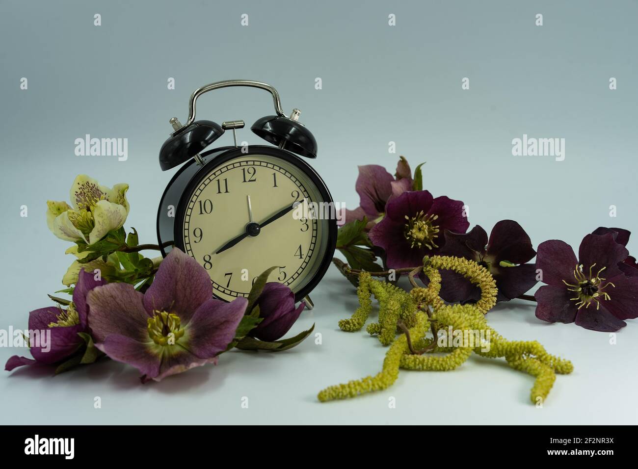 Vintage Uhr mit Frühlingsblumen. Sommerzeit-Konzept. Stockfoto