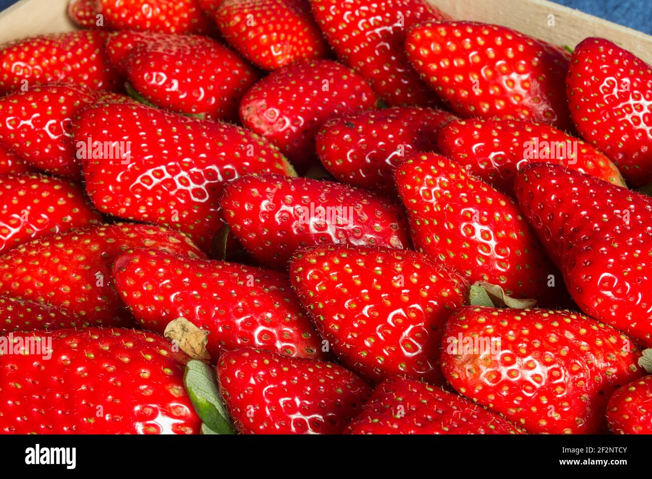 Korb mit Erdbeeren. Sammlung und Verbrauch von Beeren. Stockfoto