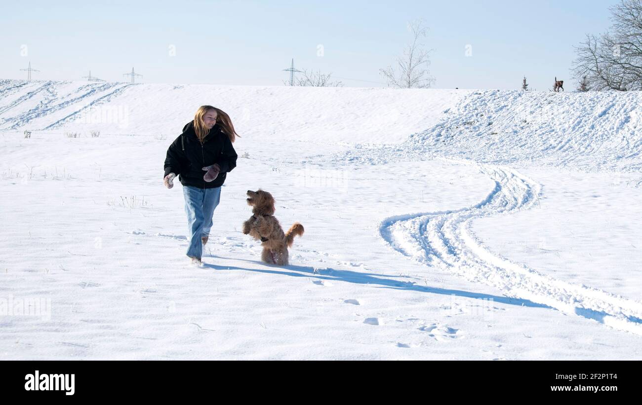Ein Mädchen rauscht mit ihrem Hund im Schnee Stockfoto