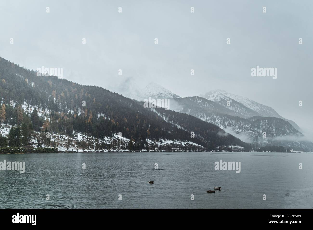Regentage rund um den Achensee in Tirol Stockfoto