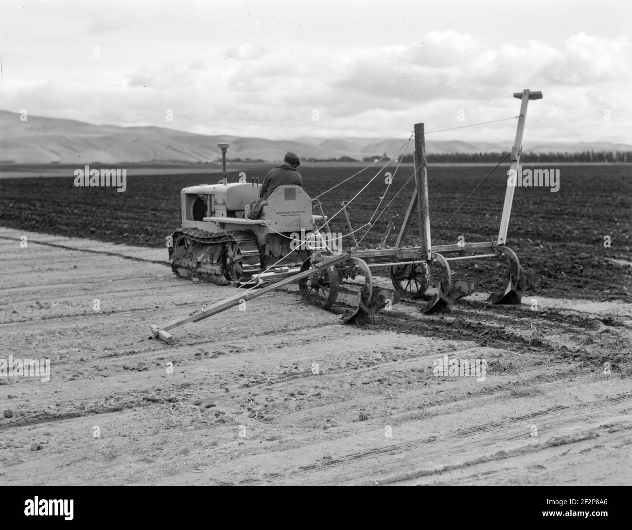 Zuckerrübenfeld mit Traktor mit angebauter Pflugschare und Fahrer (mexikanisch). Kalifornien. Februar 1936 . Foto von Dorothea lange. Stockfoto