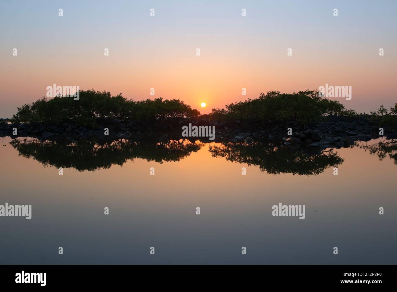 Sonnenaufgang über Mangroven an einem Bundaberg Strand Stockfoto