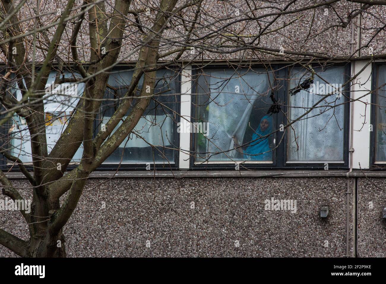 York Gardens, London, Großbritannien. 12th. März 2021. Nach 19 Tagen Baumsitzen wird der letzte Aktivist, der einen 100 Jahre alten schwarzen Pappelbaum besetzt, der zuletzt von Taylor Wimpey Homes und dem Rat von Wandsworth gefällt werden soll, vertrieben. Menschen aus der Nachbarschaft und Aktivisten kämpfen mit friedlichen Protesten und Sit-ins gegen das Hindernis. Am Ende des Tages, angeregt durch die Beschwerden der Einheimischen, verlässt die Baumfäller, nachdem sie die Hälfte des Baumes gefällt haben. (Sabrina Merolla / Alamy Live News) Stockfoto