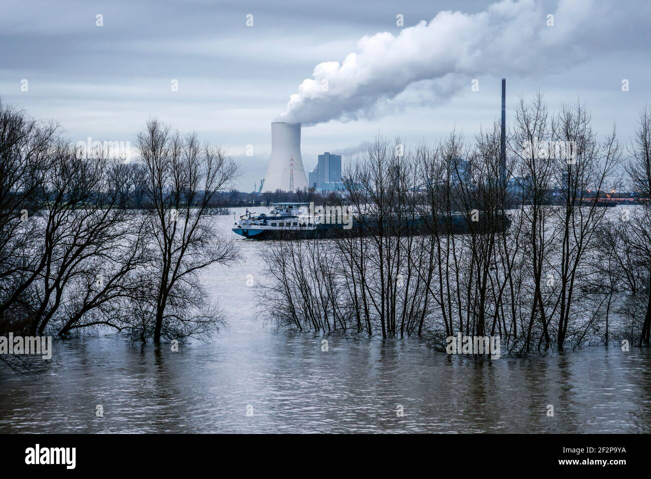 Duisburg, Nordrhein-Westfalen, Deutschland - Überschwemmungen am Rhein, die Bäume am Deich im Landkreis Marxloh stehen unter Wasser, die Rheinschifffahrt ist noch nicht eingestellt, Frachter dürfen auf dem Rhein fahren, im Hintergrund das Kohlekraftwerk Steag in Duisburg Walsum. Stockfoto