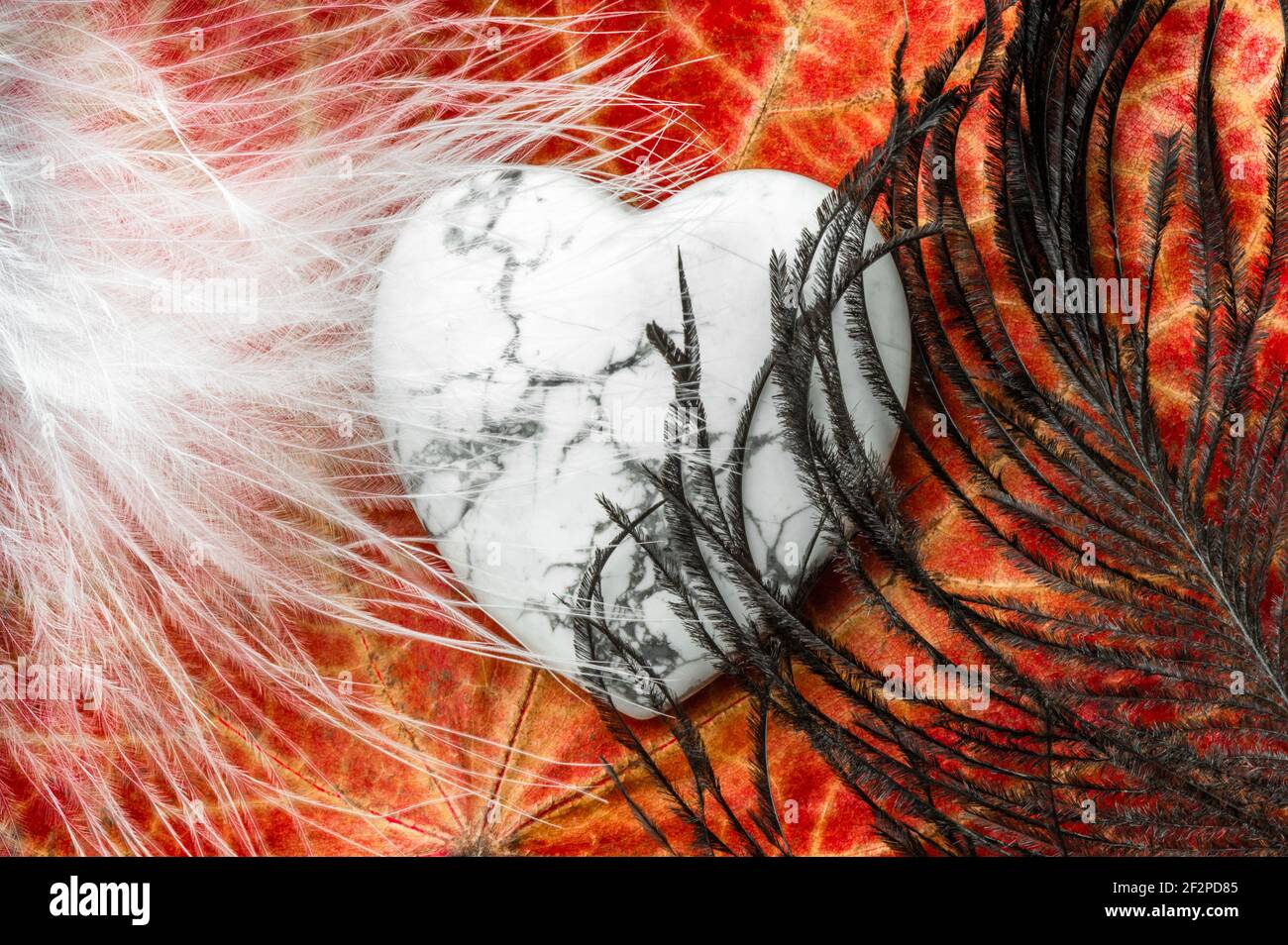 Weißes Steinherz, leuchtend rotes Blatt, schwarze und weiße Feder, Symbol des menschlichen Herzens / gut und schlecht Stockfoto