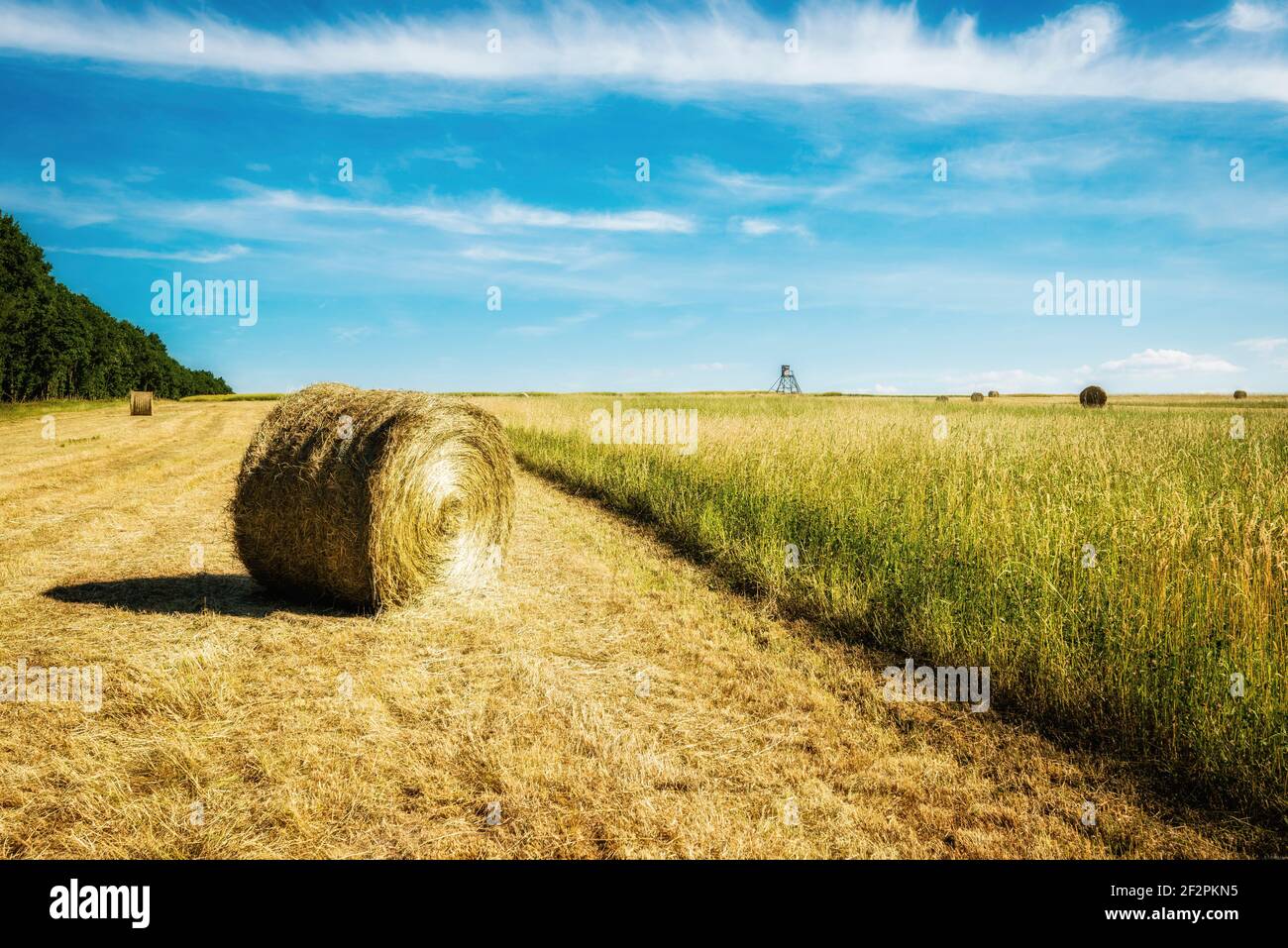 Erntezeit, Ernte, Stroh, Strohrolle, Strohballen, Rolle, Wiese, Heu, Felder, runde Ballen, Sommer, Getreide, Gräser, Getreideanbau, Stockfoto