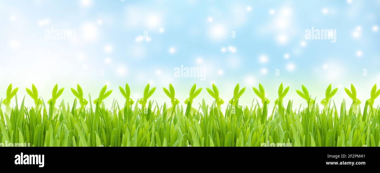 Grüner osterhase im Gras vor blauem Himmel Stockfoto