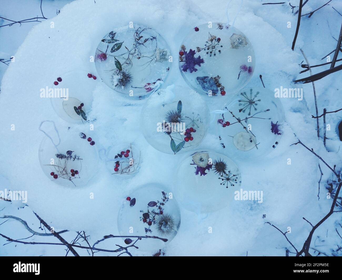 DIY Winter Projekt gefrorene Baum Anhänger mit Beeren und Blättern Stockfoto