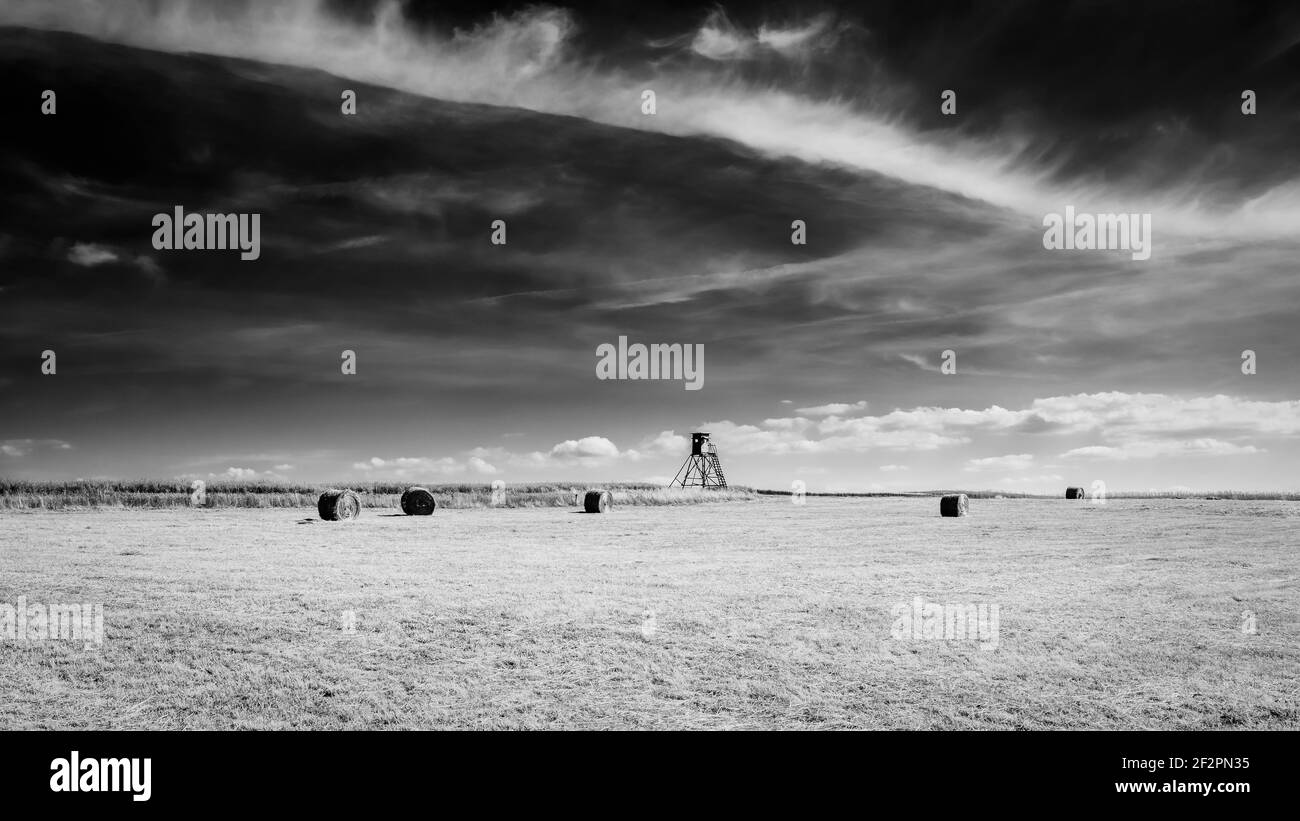 Feld, geerntet, Stroh, Strohrollen, hoher Sitz, Himmel, Weite, Sommer, Erntezeit, Wolken, Wirbelte, Stockfoto