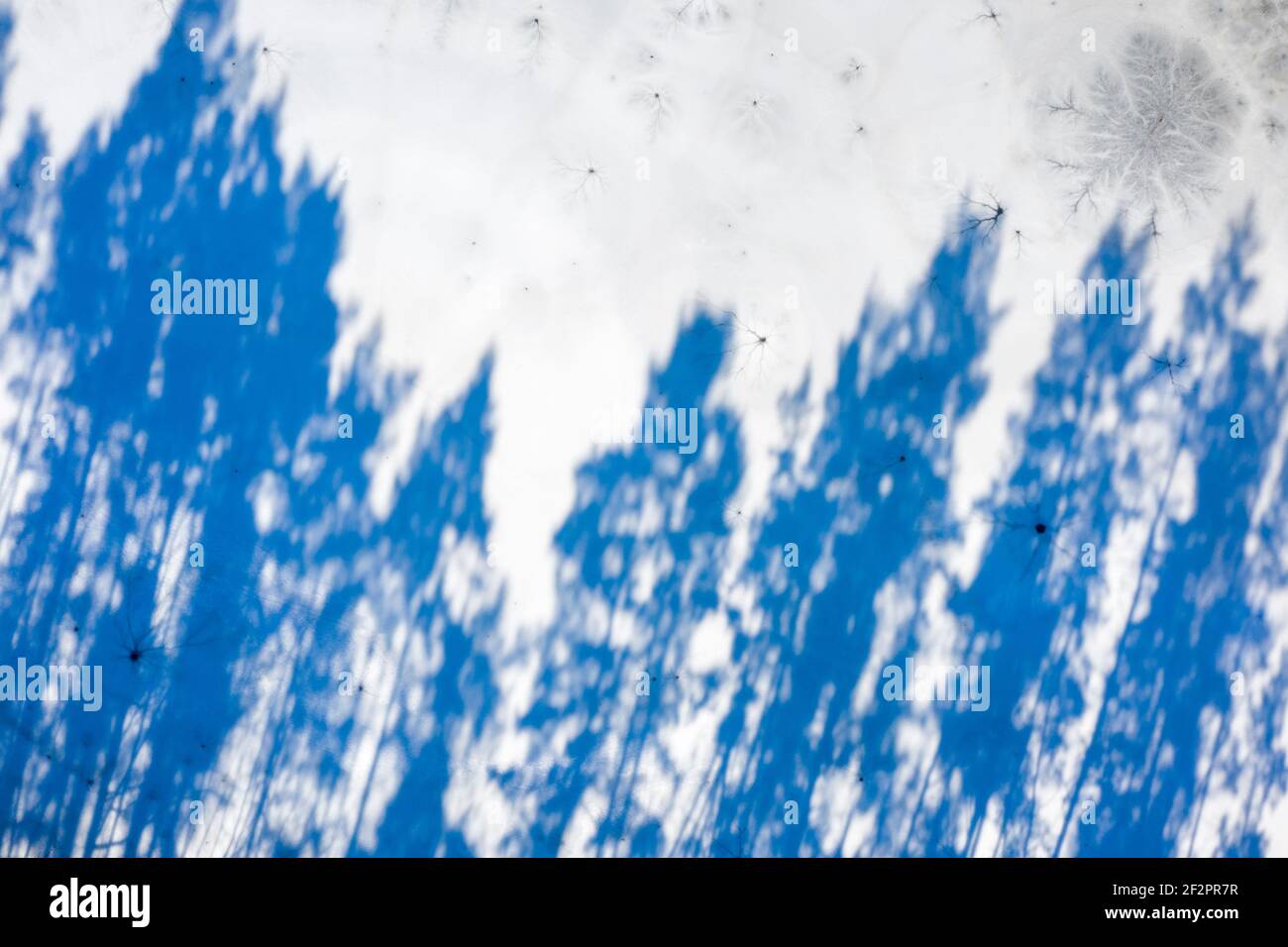 Deutschland, Sachsen-Anhalt, Schönebeck, Königsee mit langen Baumschatten. Das Wasser wurde durch den Abbau von Quarzitgestein erzeugt. Es wurde 1920 geschlossen. Der Königsee ist 25 Meter tief und bei Tauchern beliebt. Stockfoto