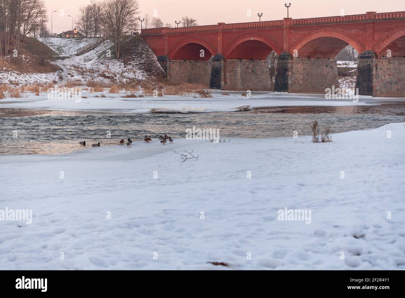 Ein alter Stein, eine Backsteinbrücke und Enten, die am Ufer des Flusses sitzen und die Umgebung beobachten Stockfoto