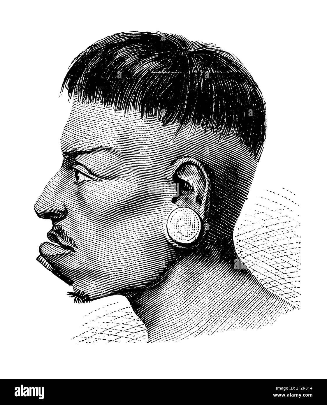 19th-Jahrhundert-Illustration eines Botokudo. Gravur veröffentlicht in Systematischer Bilder-Atlas zum Conversations-Lexikon, Ikonographische Encyklopedie d Stockfoto