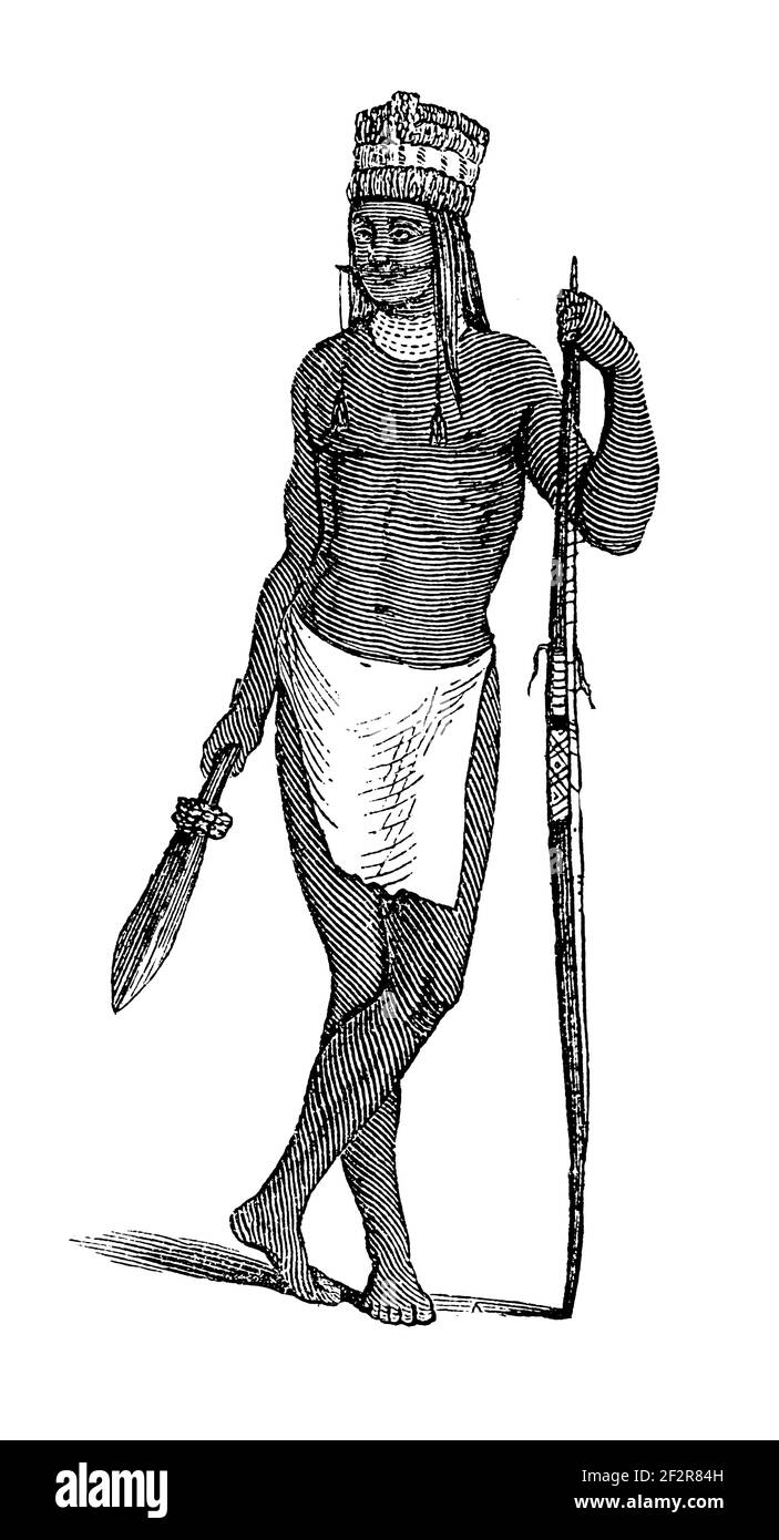 Antike Illustration von Guarayos. Stich veröffentlicht in Systematischer Bilder-Atlas zum Conversations-Lexikon, Ikonographische Encyklopedie der Wiss Stockfoto