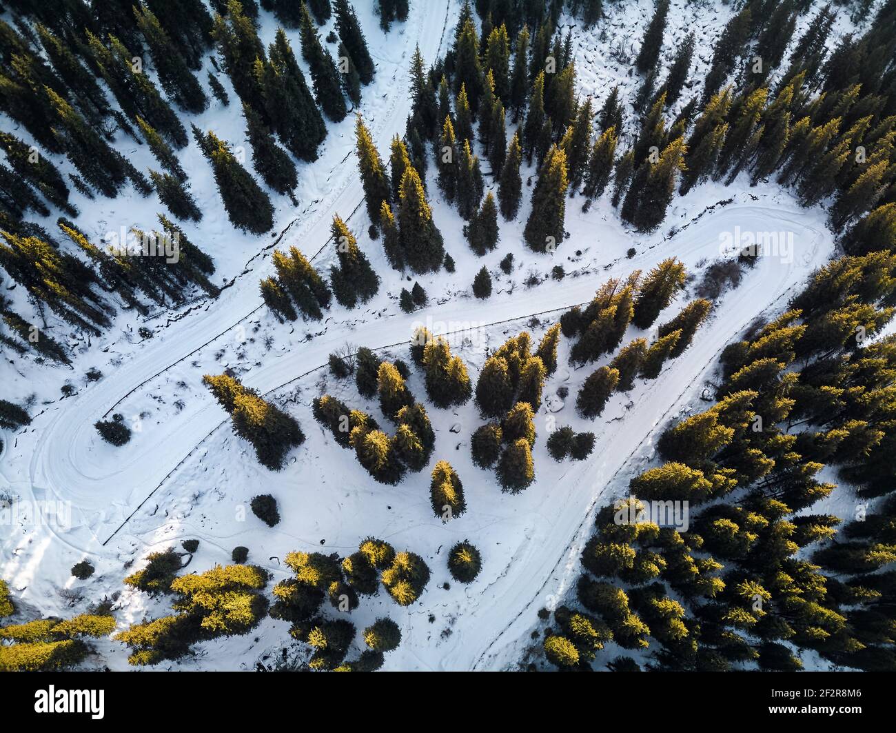 Luftdrohnenaufnahme einer kurvigen Straße durch den Wald an den Bergen im Winter in Almaty, Kasachstan Stockfoto