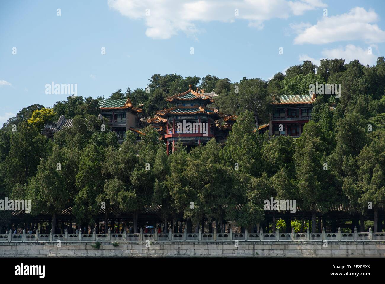 Asiatische Tempel in den grünen Wäldern Stockfoto