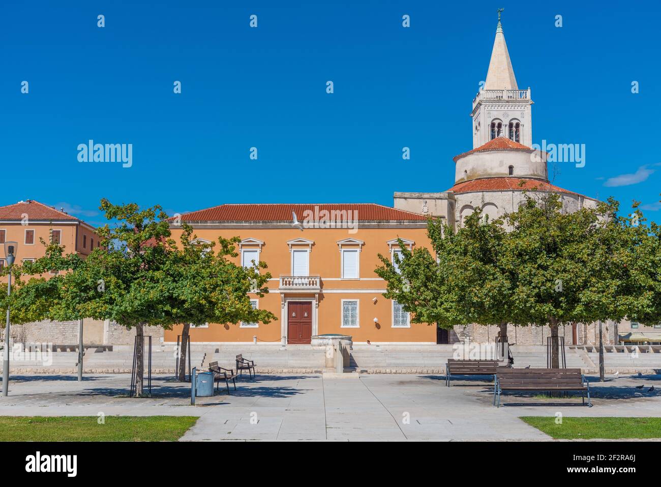 Glockenturm zwischen der Kirche des Heiligen Donatus und der Kathedrale der Heiligen Anastasia in Zadar, Kroatien Stockfoto