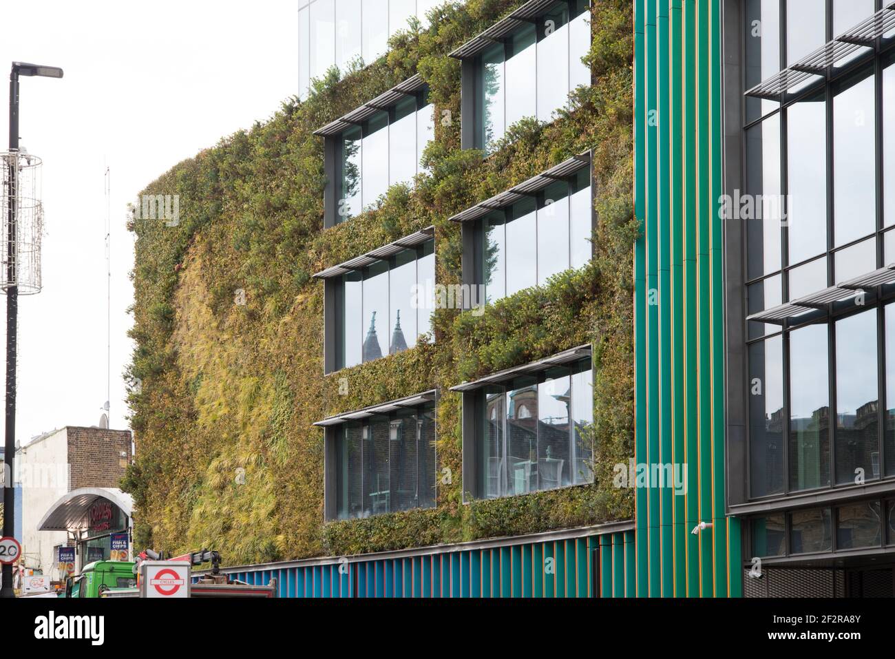 Living Green Wall Vertical Garden MTV Studios Channel 5 Studios Hawley Crescent Camden Town von Jacobs Webber Biotecture Stockfoto