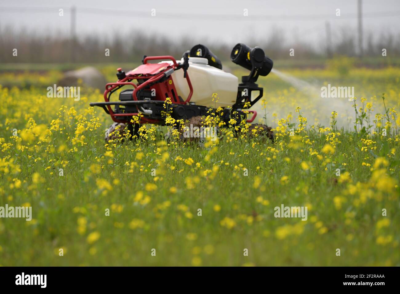 (210313) -- NANCHANG, 13. März 2021 (Xinhua) -- eine unbemannte Pflanzenschutzmaschine arbeitet auf einem Feld der ländlichen Kooperative Datian in der Stadt Jiangxiang, Landkreis Nanchang in der Provinz Jiangxi in Ostchina, 12. März 2021. Die Bauernhöfe der Landgenossenschaft Datian begrüßten am Freitag einen "intelligenten" Frühjahrsplug, bei dem unbemannte Technologien neue Lösungen der modernen Landwirtschaft boten. Durch die Nutzung dieser neuen Technologien können die Betriebe mit einer Gesamtfläche von 10.000 mu (ca. 666,67 Hektar) von nur 26 Menschen regiert werden. (Xinhua/Peng Zhaozhi) Stockfoto