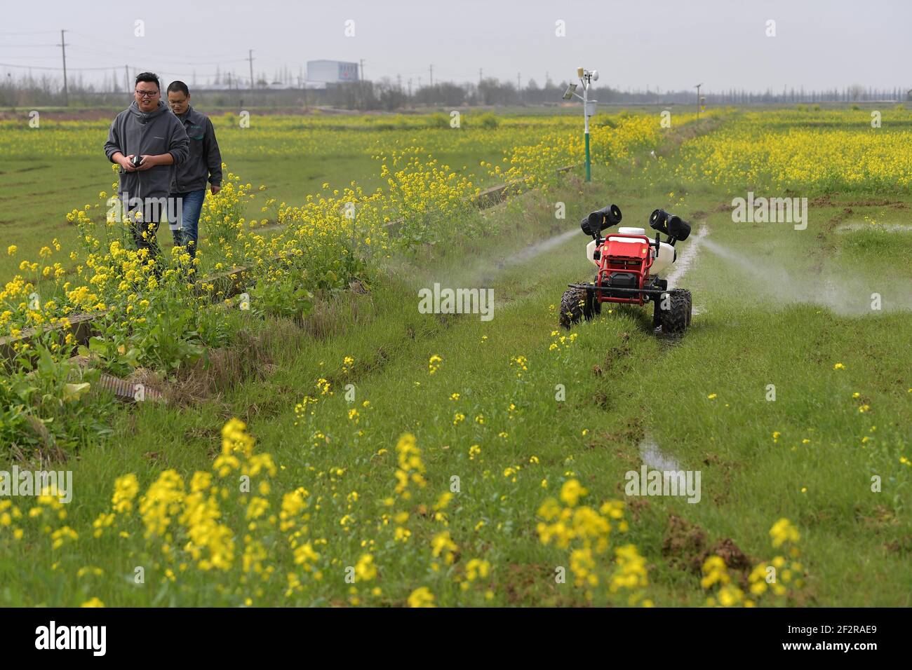 (210313) -- NANCHANG, 13. März 2021 (Xinhua) -- eine unbemannte Pflanzenschutzmaschine arbeitet auf einem Feld der ländlichen Kooperative Datian in der Stadt Jiangxiang, Landkreis Nanchang in der Provinz Jiangxi in Ostchina, 12. März 2021. Die Bauernhöfe der Landgenossenschaft Datian begrüßten am Freitag einen "intelligenten" Frühjahrsplug, bei dem unbemannte Technologien neue Lösungen der modernen Landwirtschaft boten. Durch die Nutzung dieser neuen Technologien können die Betriebe mit einer Gesamtfläche von 10.000 mu (ca. 666,67 Hektar) von nur 26 Menschen regiert werden. (Xinhua/Peng Zhaozhi) Stockfoto