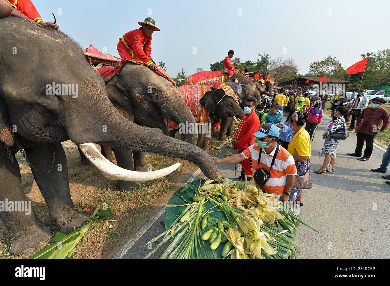 Bangkok, Thailand. März 2021, 13th. Menschen füttern Elefanten beim National Elephant Day Fest in Ayutthaya, Thailand, 13. März 2021. Während der Feier werden verschiedene Aktivitäten durchgeführt, um das Bewusstsein der Öffentlichkeit für den Schutz der Elefanten und ihrer Lebensräume zu schärfen. Quelle: Rachen Sageamsak/Xinhua/Alamy Live News Stockfoto