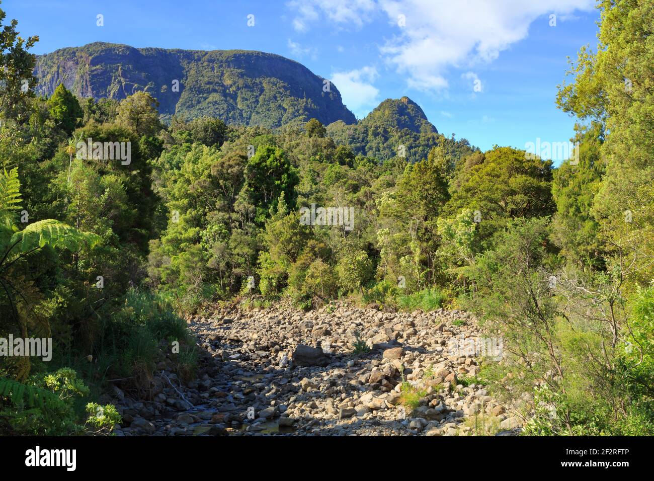 Landschaft im Kaueranga Valley, Coromandel Peninsula, Neuseeland. Im Vordergrund ein fast trockenes Flussbett, umgeben von Urwald Stockfoto