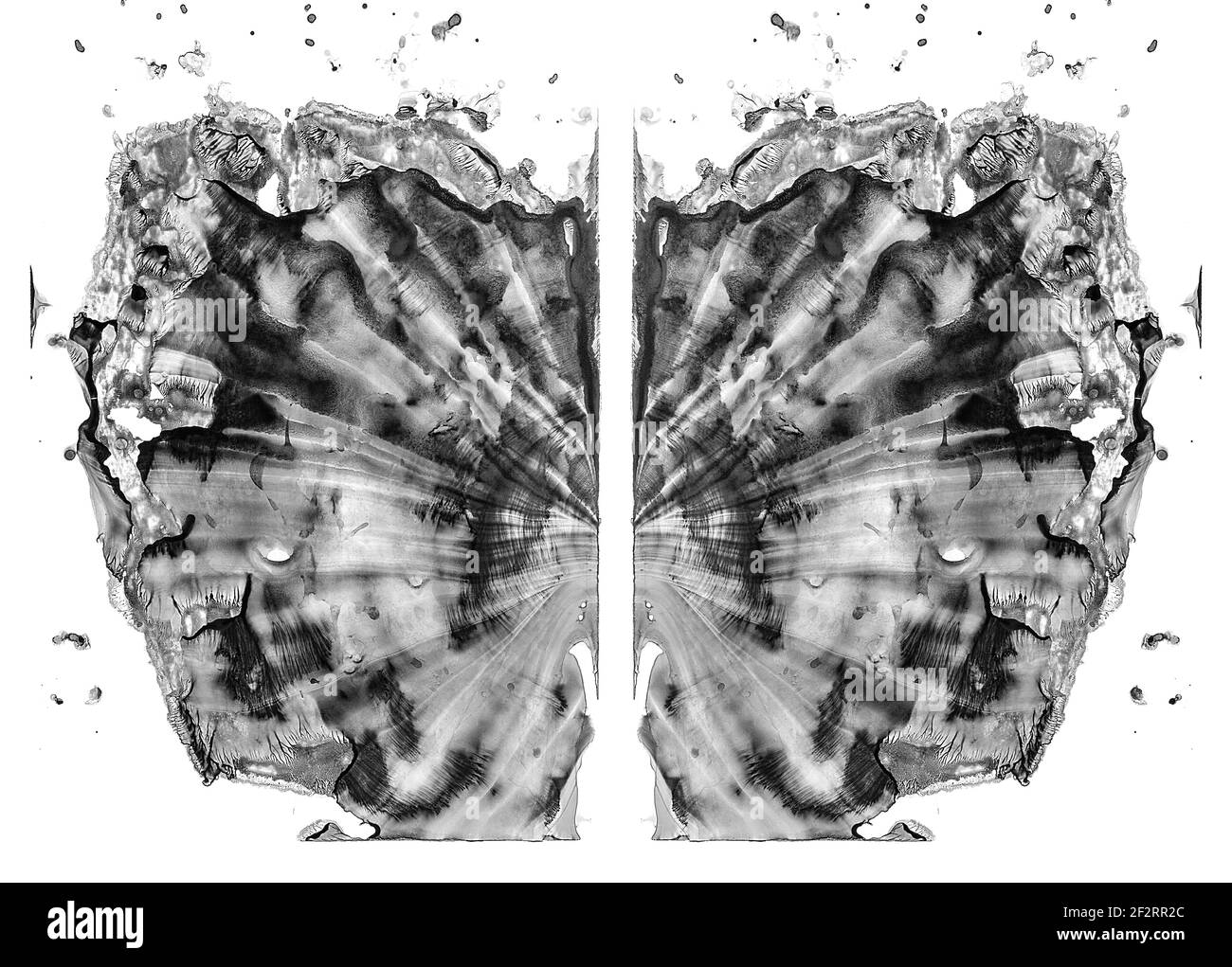 Rorschach-Test isoliert auf weißer Illustration, zufälliger abstrakter schwarz-weißer Hintergrund. Psycho diagnostischer Tintenklemmtest. Stockfoto