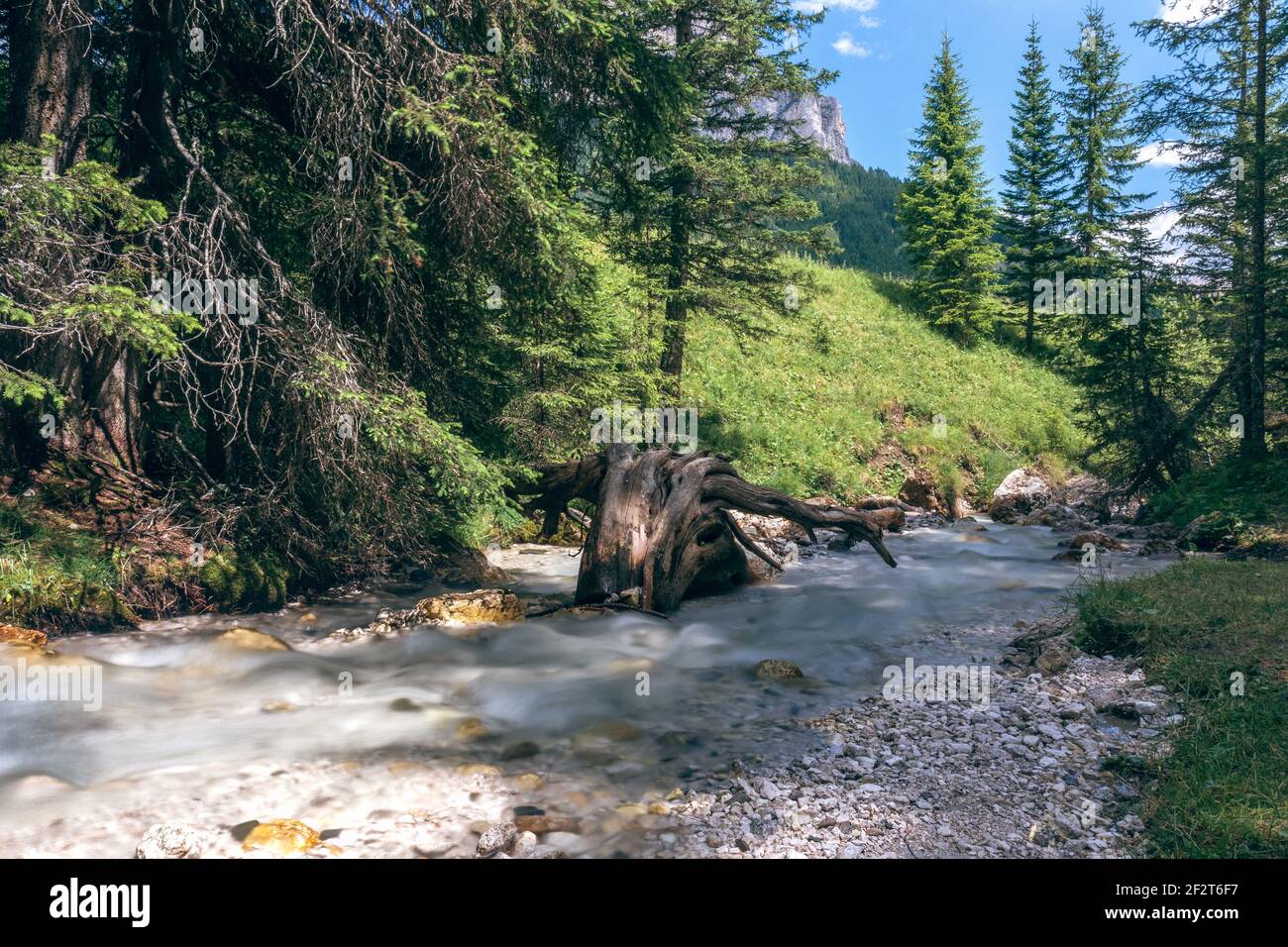 Der Fluss, der durch die Bergwälder der italienischen Dolomiten fließt Stockfoto