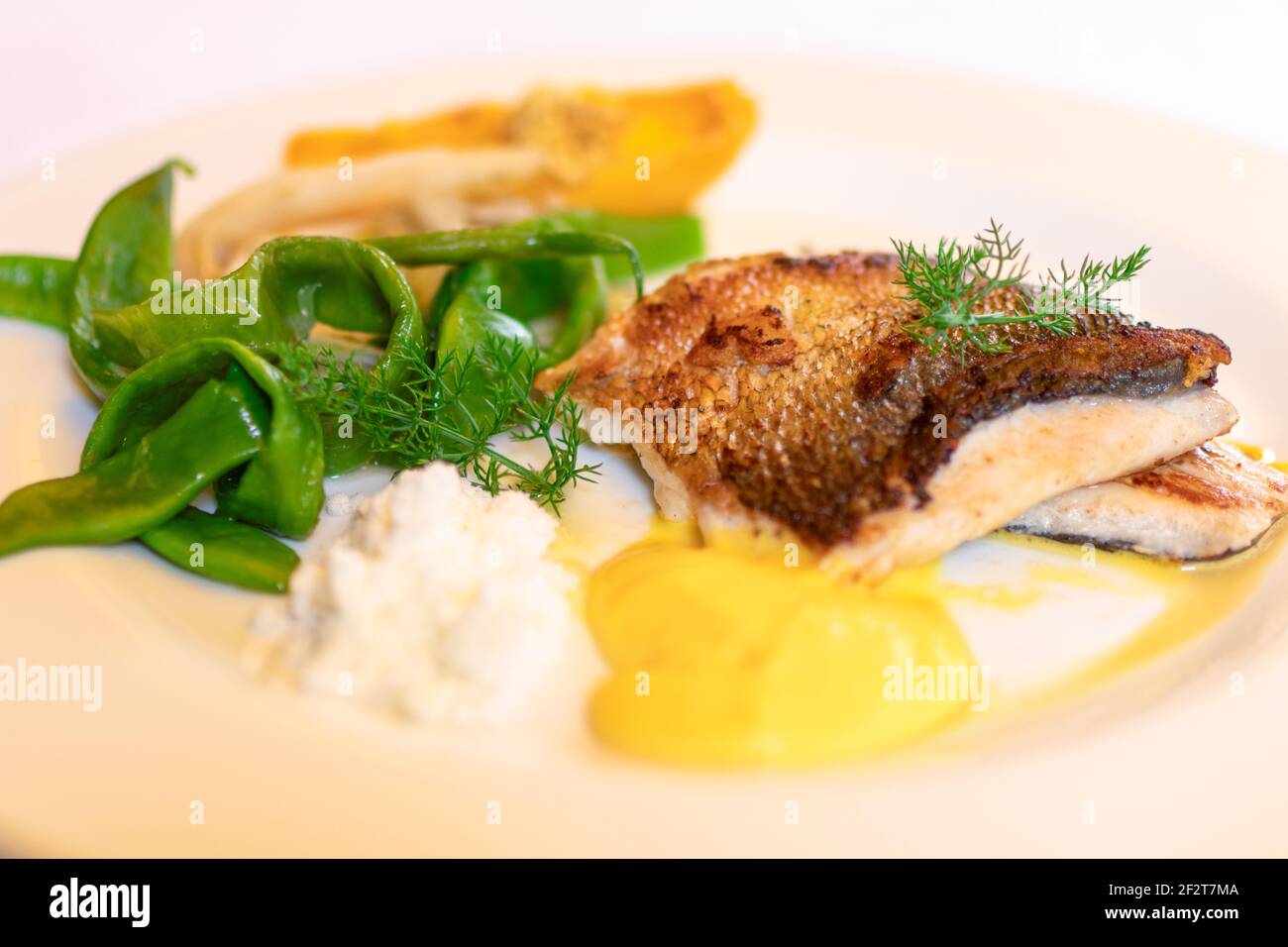 Köstliches Fischgericht. Weißer Fisch aus dem See mit grünem Paprika. Italienisches Rezept. Selektiver Fokus. Stockfoto