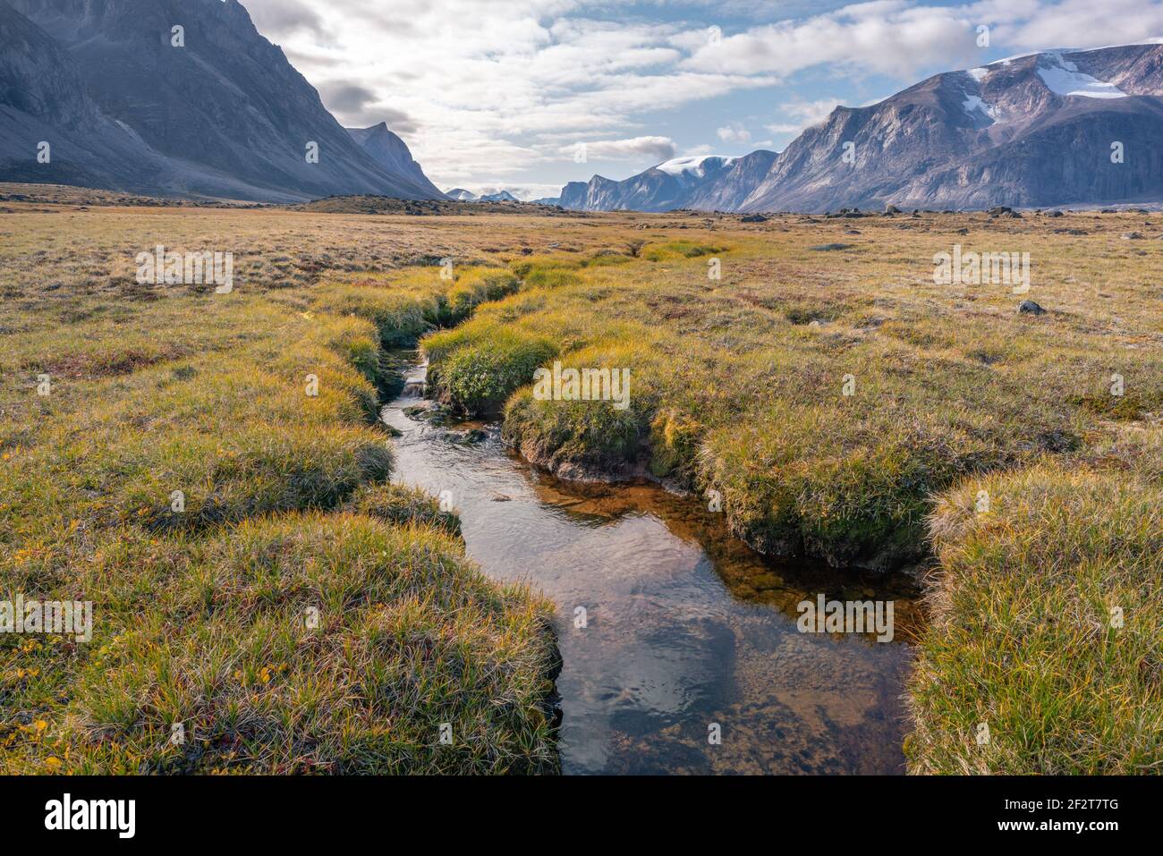 Stromwinden durch wilde arktische Landschaft im Akshayuk Pass, Baffin Island, Kanada. Moos Talboden und dramatische Klippen. Arktischer Sommer in abgelegen Stockfoto