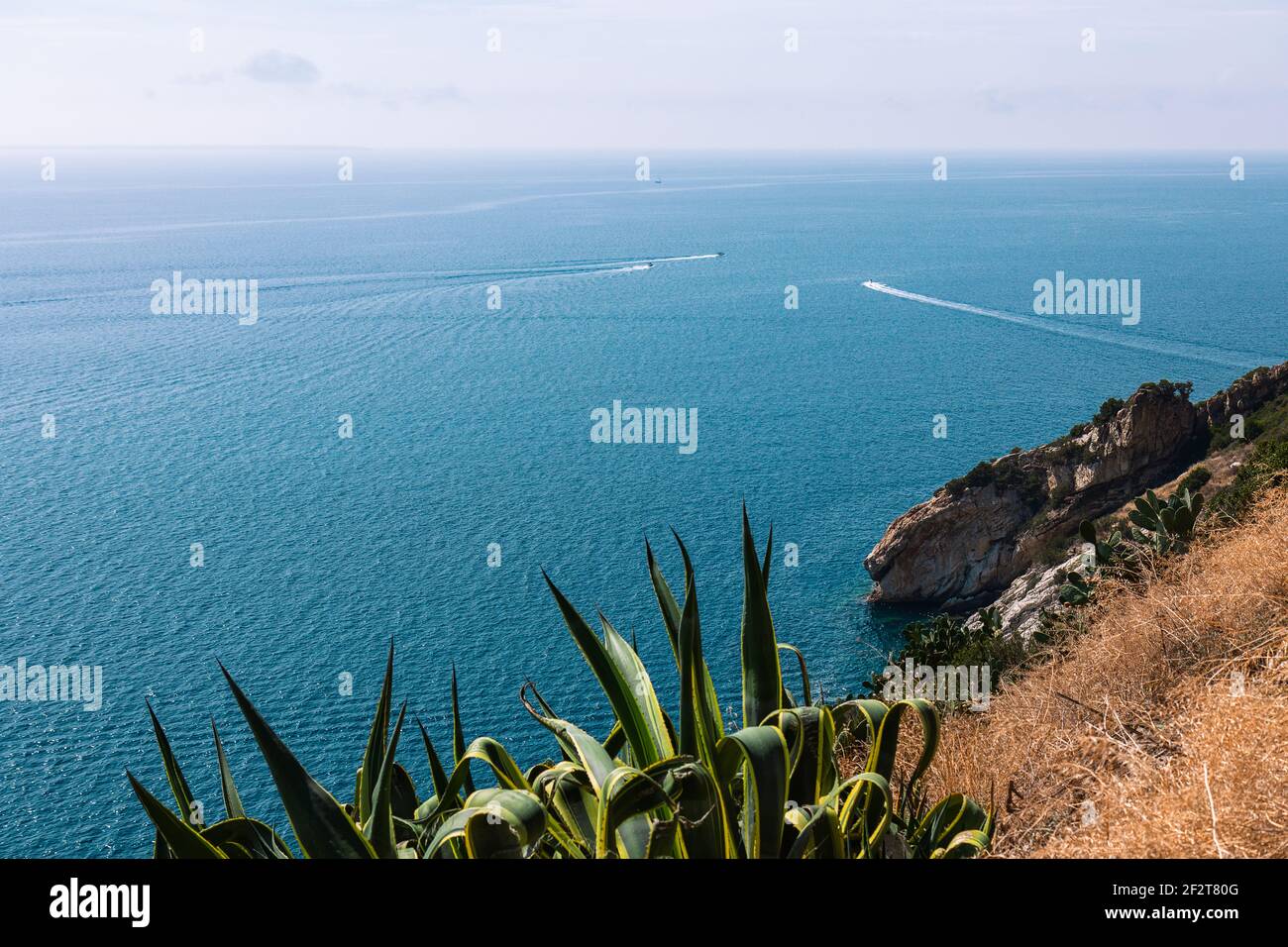 Der Blick von der Klippe auf das ruhige blaue Meer der Insel Elba, durchzogen von Hochgeschwindigkeitsbooten. Toskana, Italien. Stockfoto