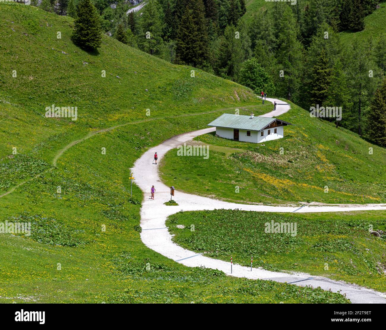 Landschaft an der jenner in berchtesgaden, bayern, deutschland Stockfoto