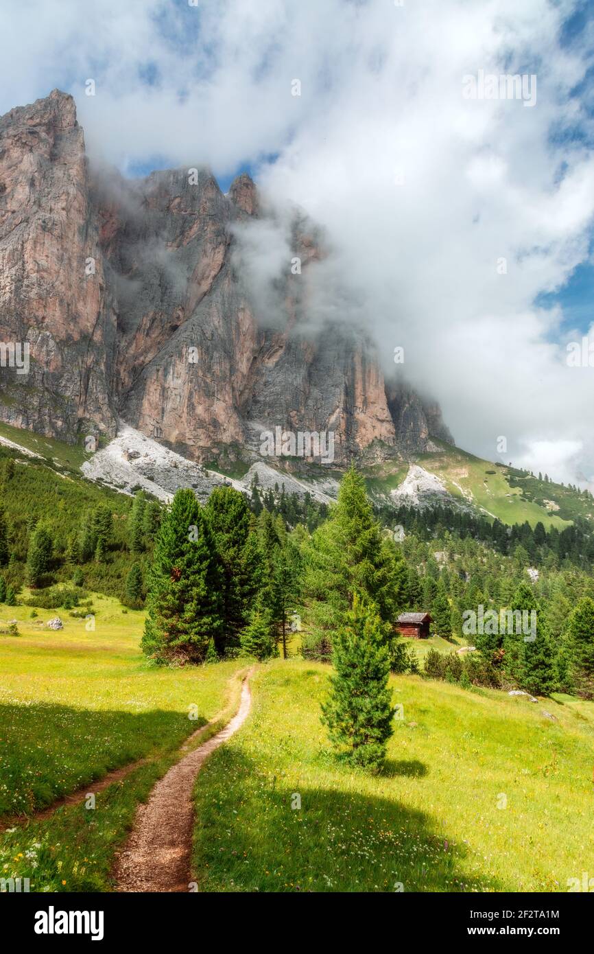 Malerischer Weg auf einer hochalpinen Wiese mit nebligen Gipfeln der italienischen Dolomiten. Italienische Alpen, Südtirol, Kolfuschg. (Vertikales Foto) Stockfoto