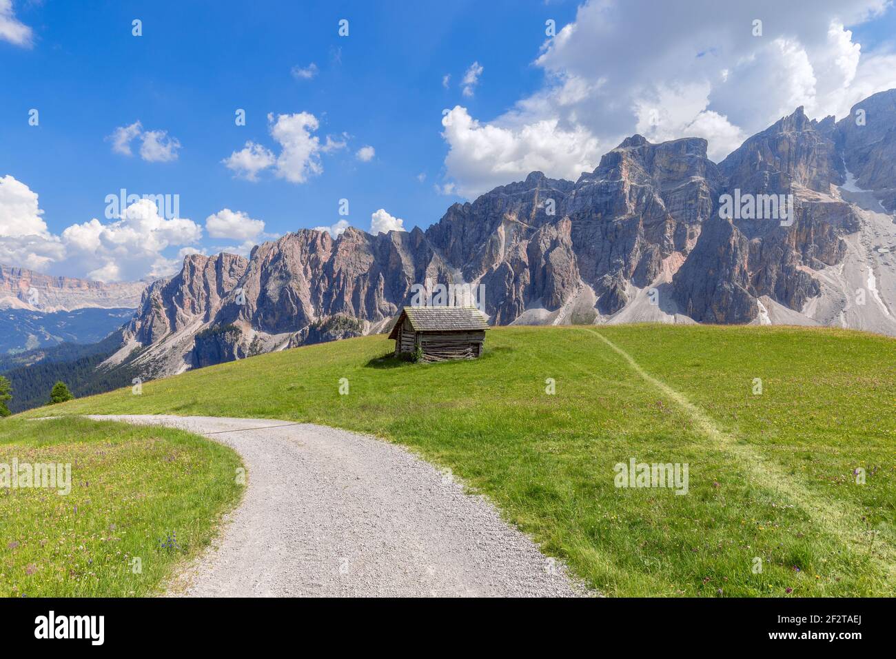 Ein malerischer Weg durch eine Almwiese in den italienischen Dolomiten zum Wandern und Radfahren. Italienische Alpen, Corvara in Badia. Stockfoto