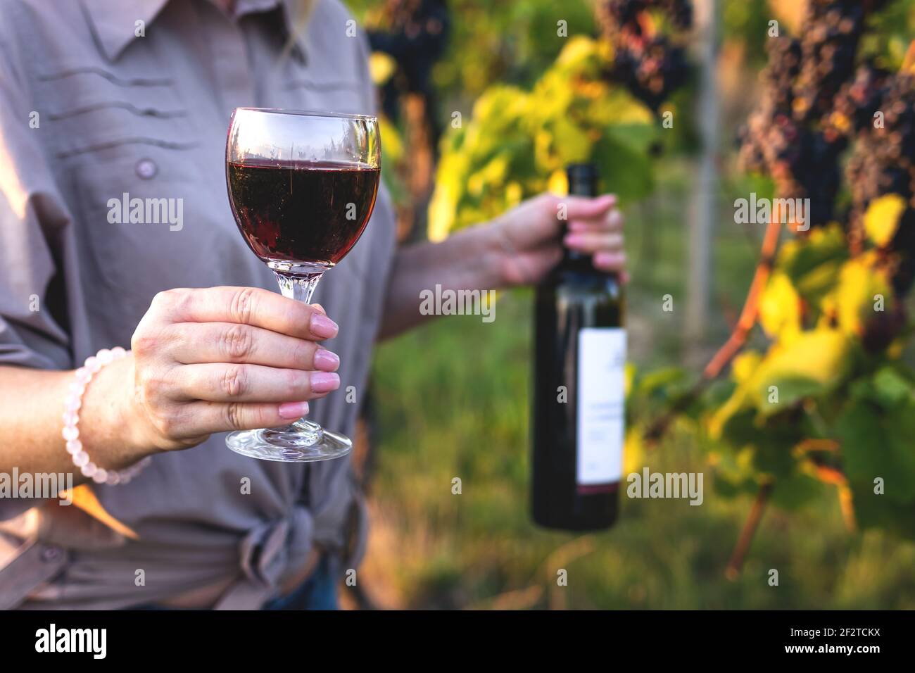 Frau trinkt Rotwein im Weinberg. Bäuerin hält Weinglas und Flasche und verkostet ihren hausgemachten Wein Stockfoto