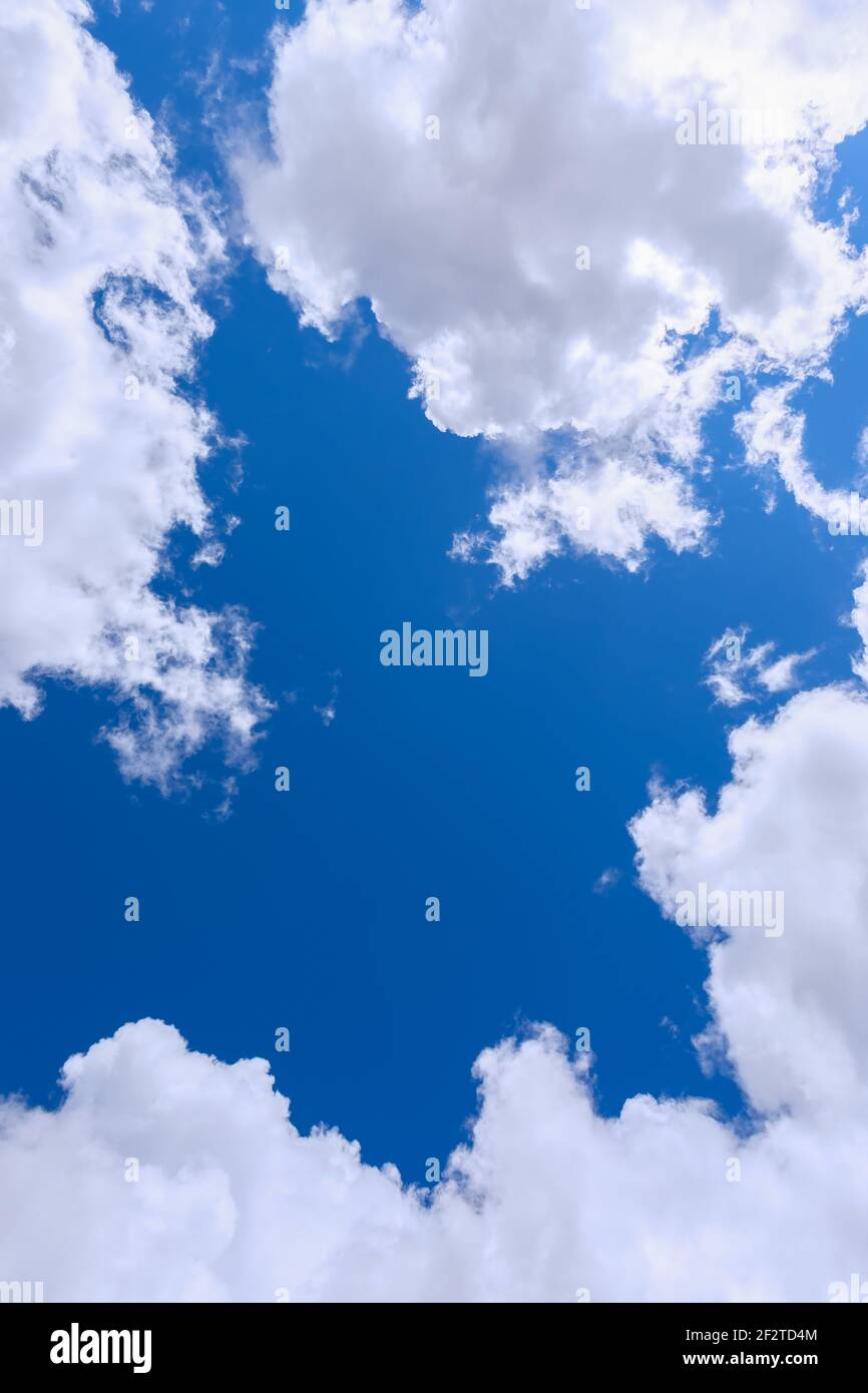 Klarer blauer Himmel mit Cumulus Wolken. Natürlicher Hintergrund (vertikales Foto) Stockfoto