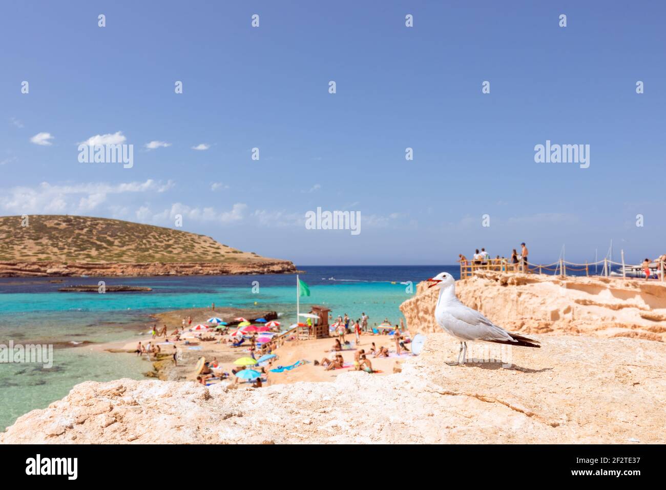 Schöner Strand mit türkisfarbenem Wasser auf der Insel Ibiza. Cala Escondida, Balearen. Spanien (Fokus auf die Möwe, Personen an den Stränden in Stockfoto