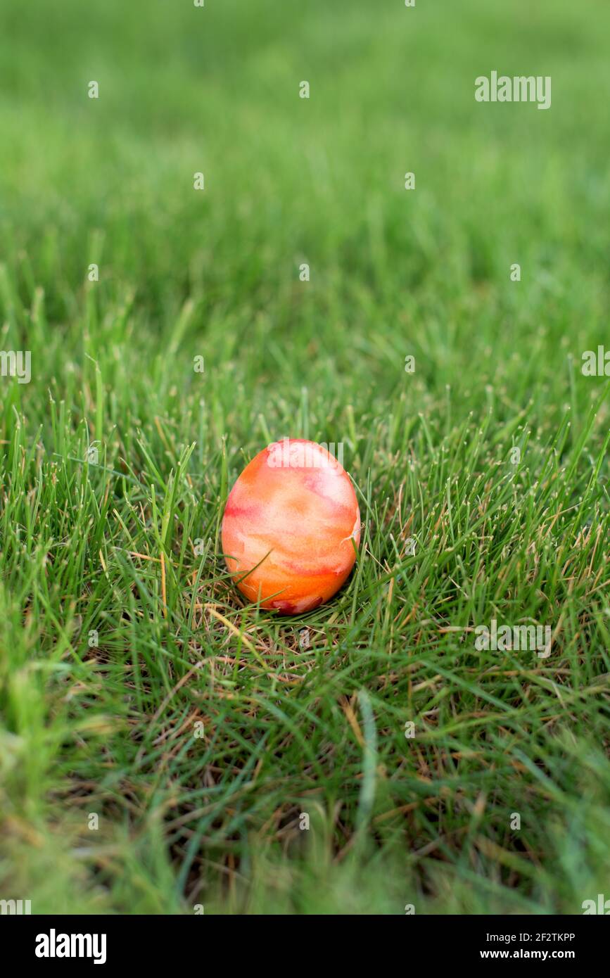Versteckt im Gras Osterei, das in verschiedenen Farben bemalt ist Stockfoto