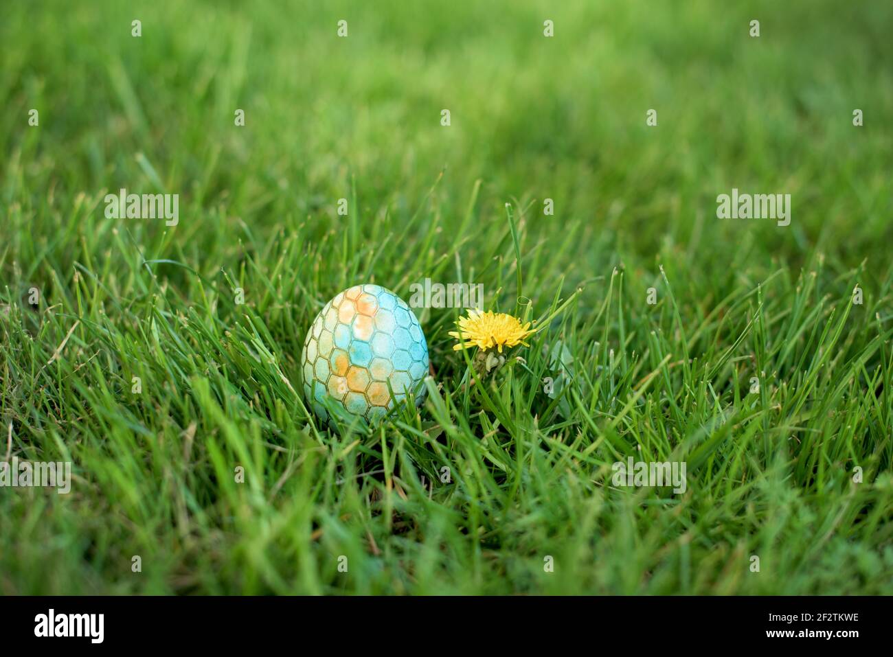 Versteckt im Gras Osterei, das in verschiedenen Farben bemalt ist Stockfoto