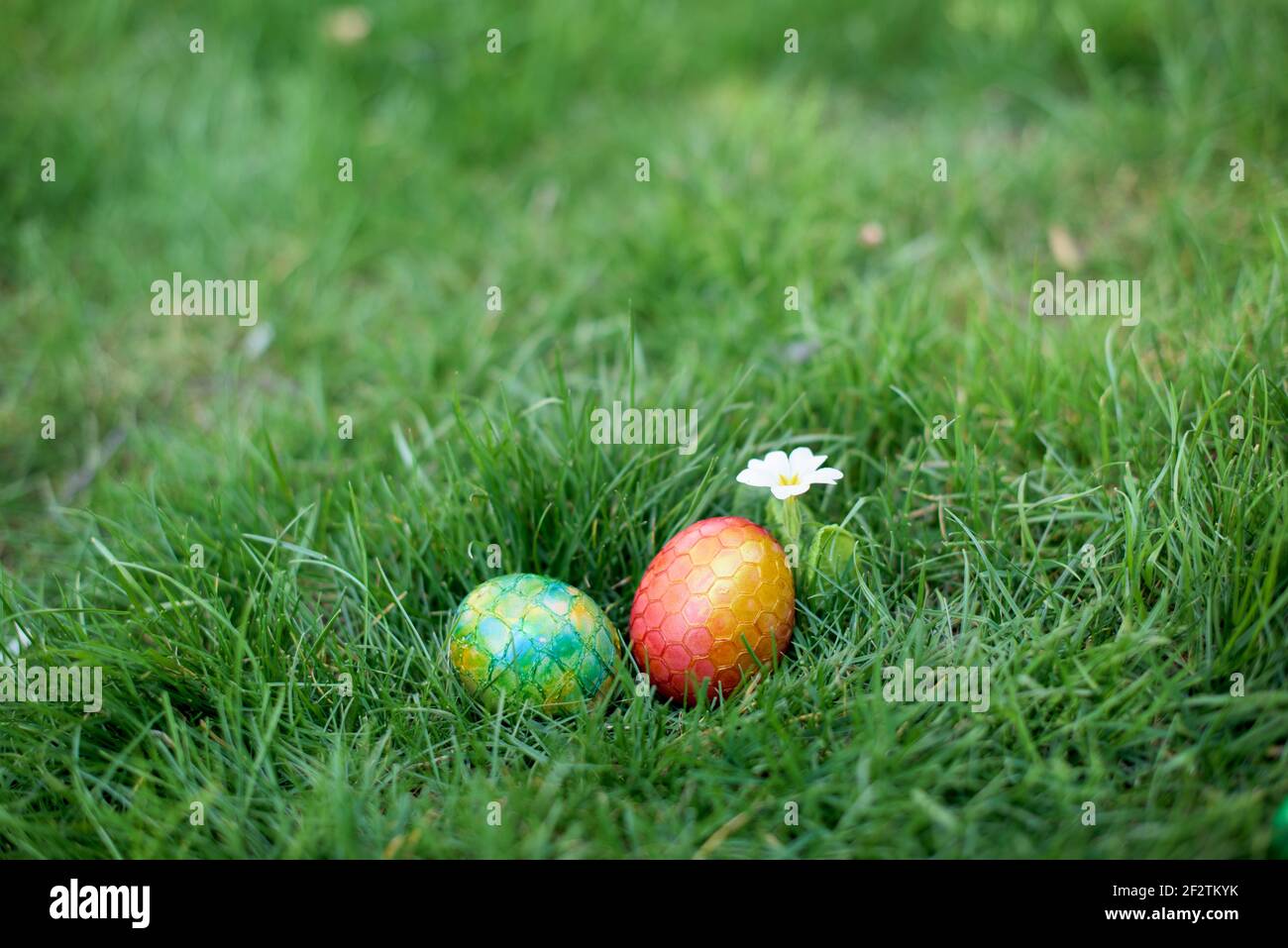 Versteckt im Gras Ostereier, die in verschiedenen Farben bemalt sind Stockfoto