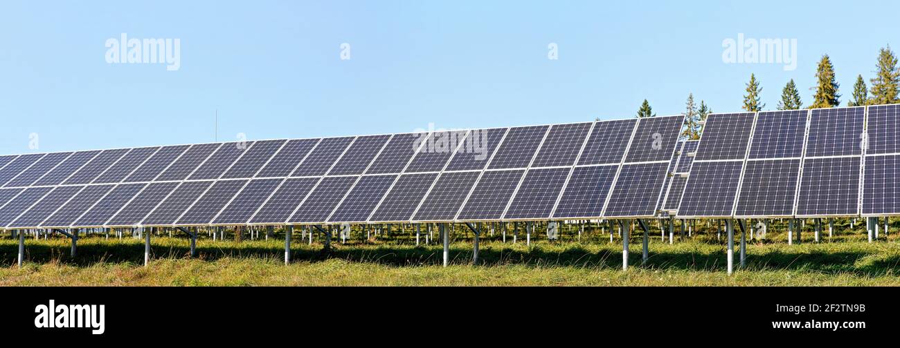 Solar-Photovoltaik-Paneele auf grüner Wiese, klarer Himmel über Bäumen Hintergrund, breites Banner Foto Stockfoto